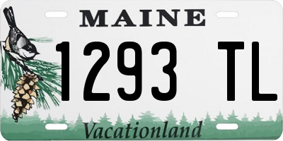 ME license plate 1293TL