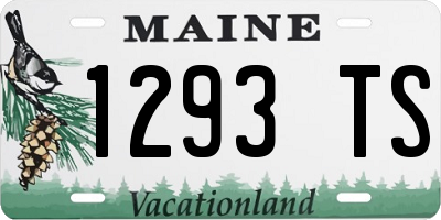 ME license plate 1293TS