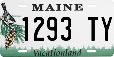 ME license plate 1293TY