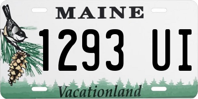 ME license plate 1293UI
