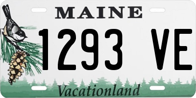 ME license plate 1293VE