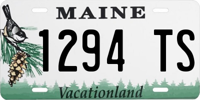 ME license plate 1294TS