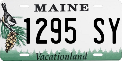 ME license plate 1295SY
