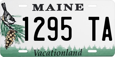ME license plate 1295TA