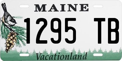 ME license plate 1295TB
