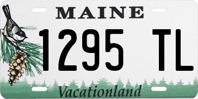 ME license plate 1295TL