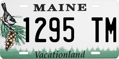 ME license plate 1295TM