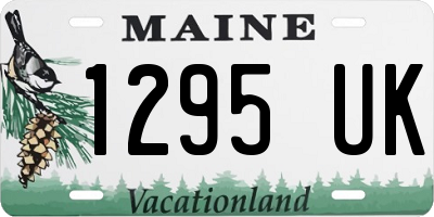 ME license plate 1295UK