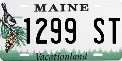 ME license plate 1299ST