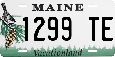 ME license plate 1299TE