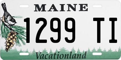 ME license plate 1299TI
