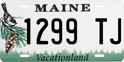 ME license plate 1299TJ