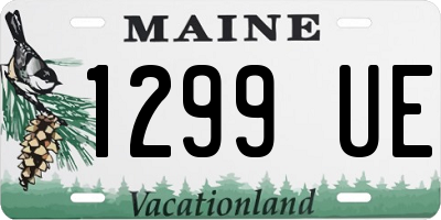 ME license plate 1299UE