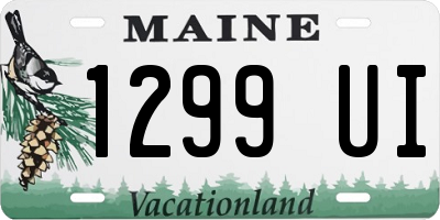 ME license plate 1299UI