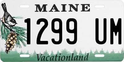 ME license plate 1299UM