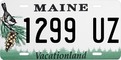 ME license plate 1299UZ