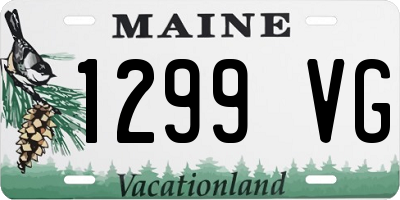 ME license plate 1299VG