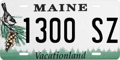 ME license plate 1300SZ