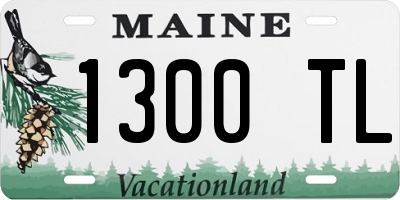 ME license plate 1300TL