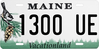 ME license plate 1300UE