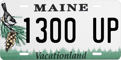 ME license plate 1300UP