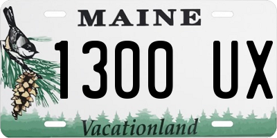 ME license plate 1300UX