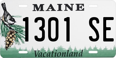 ME license plate 1301SE