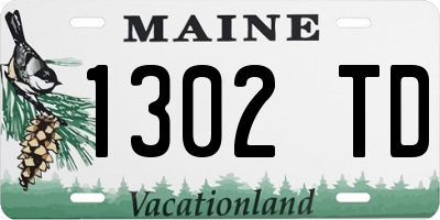 ME license plate 1302TD