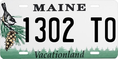 ME license plate 1302TO