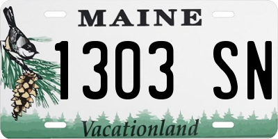 ME license plate 1303SN