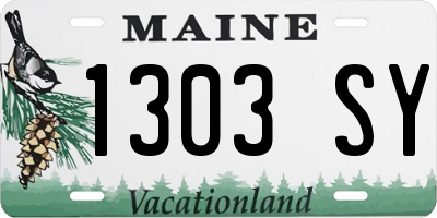 ME license plate 1303SY
