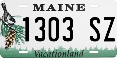 ME license plate 1303SZ