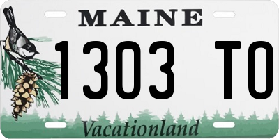ME license plate 1303TO