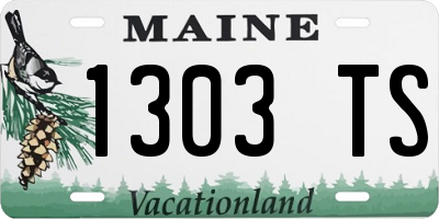 ME license plate 1303TS