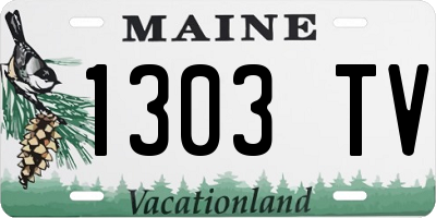 ME license plate 1303TV