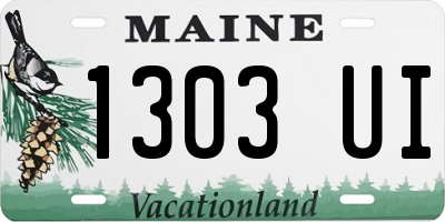 ME license plate 1303UI