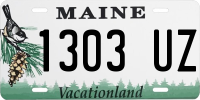 ME license plate 1303UZ