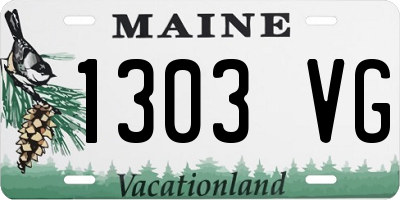 ME license plate 1303VG