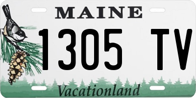 ME license plate 1305TV