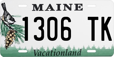 ME license plate 1306TK