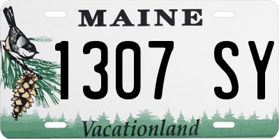ME license plate 1307SY