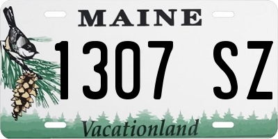 ME license plate 1307SZ
