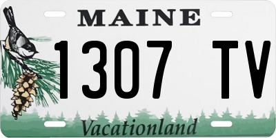 ME license plate 1307TV