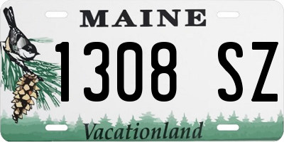 ME license plate 1308SZ