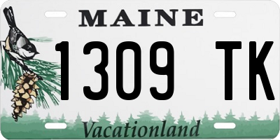 ME license plate 1309TK