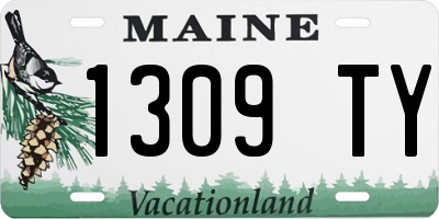 ME license plate 1309TY