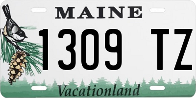 ME license plate 1309TZ