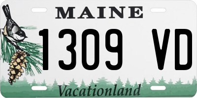 ME license plate 1309VD