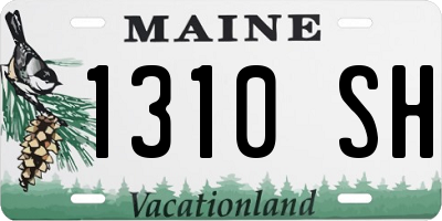 ME license plate 1310SH