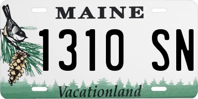 ME license plate 1310SN